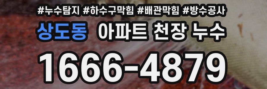 상도동 아파트 천장 누수
