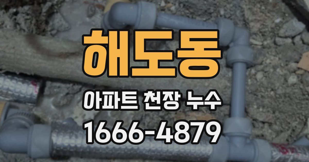 해도동 아파트 천장 누수