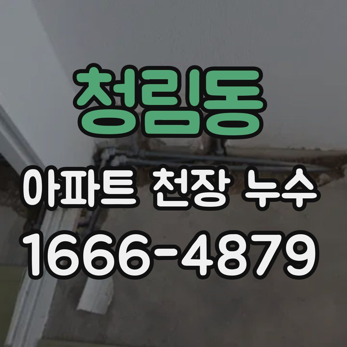 청림동 아파트 천장 누수