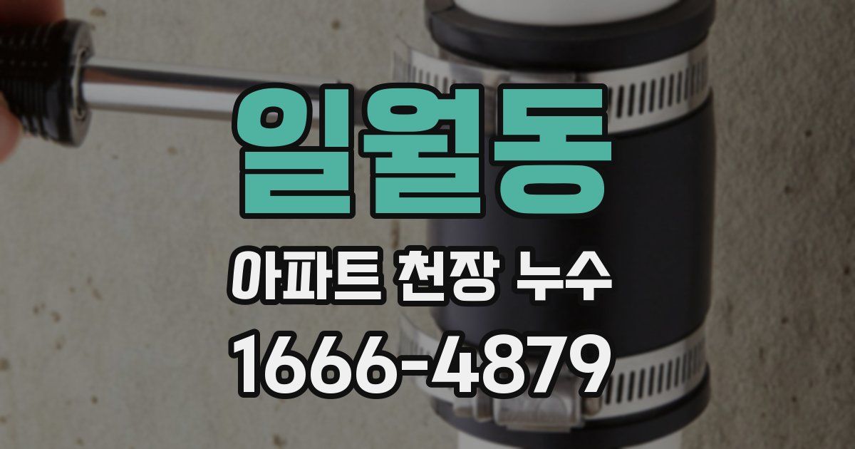 일월동 아파트 천장 누수