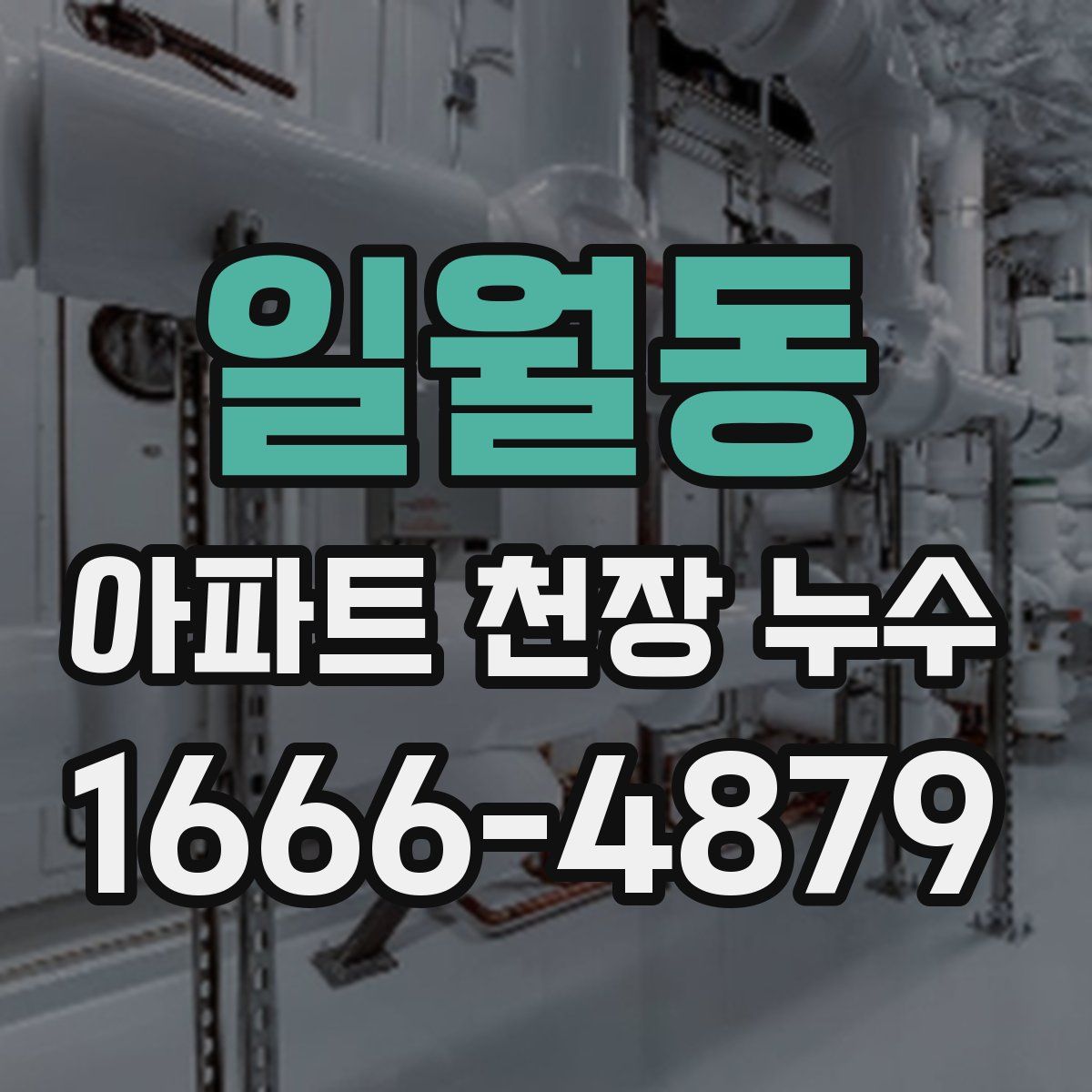 일월동 아파트 천장 누수