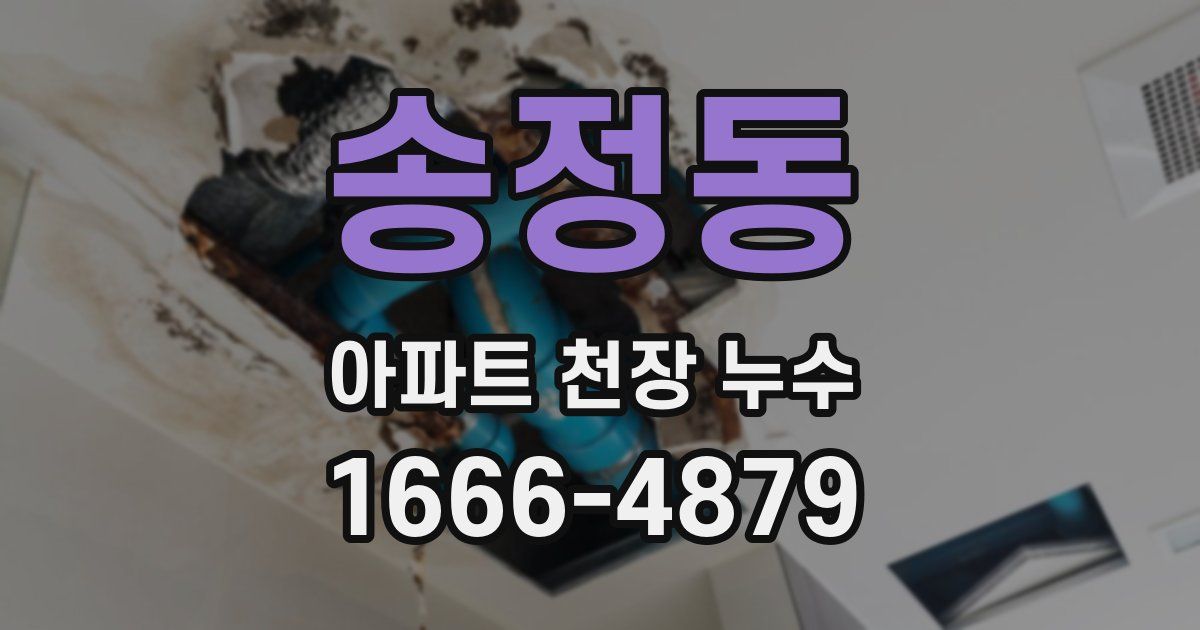 송정동 아파트 천장 누수