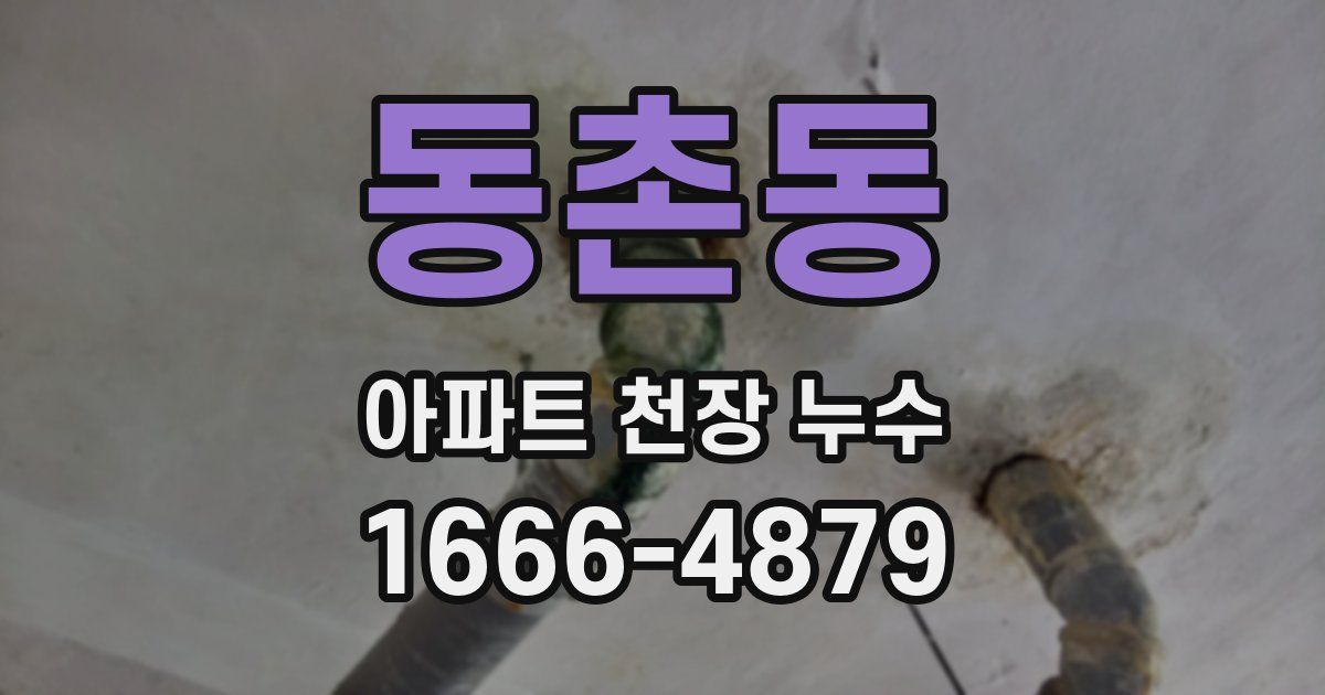 동촌동 아파트 천장 누수