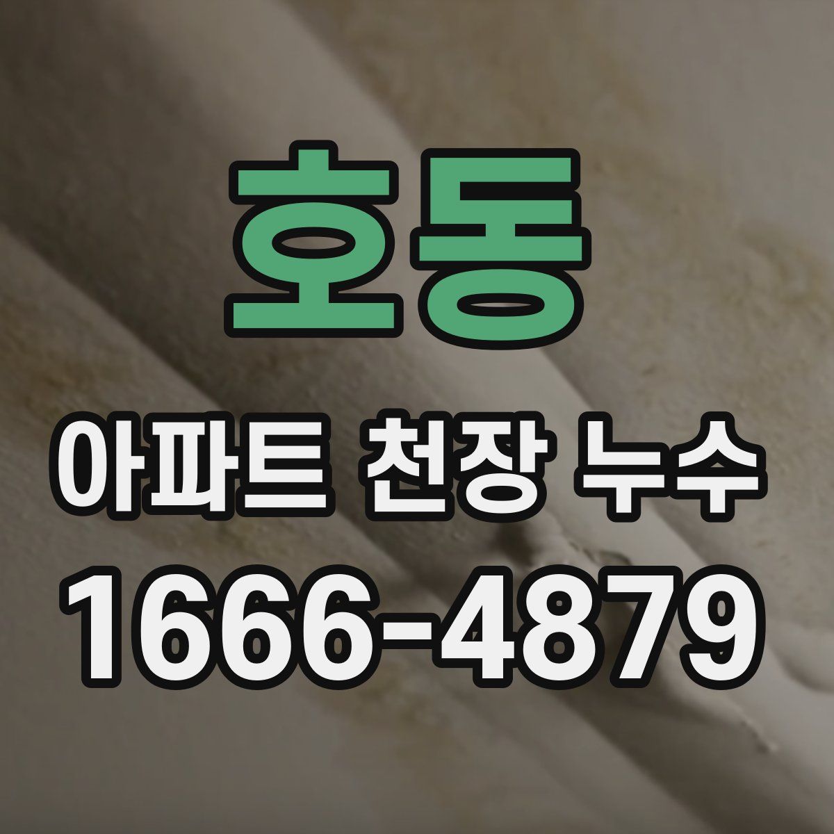 호동 아파트 천장 누수
