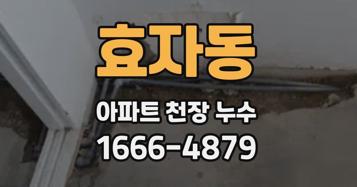 효자동 아파트 천장 누수