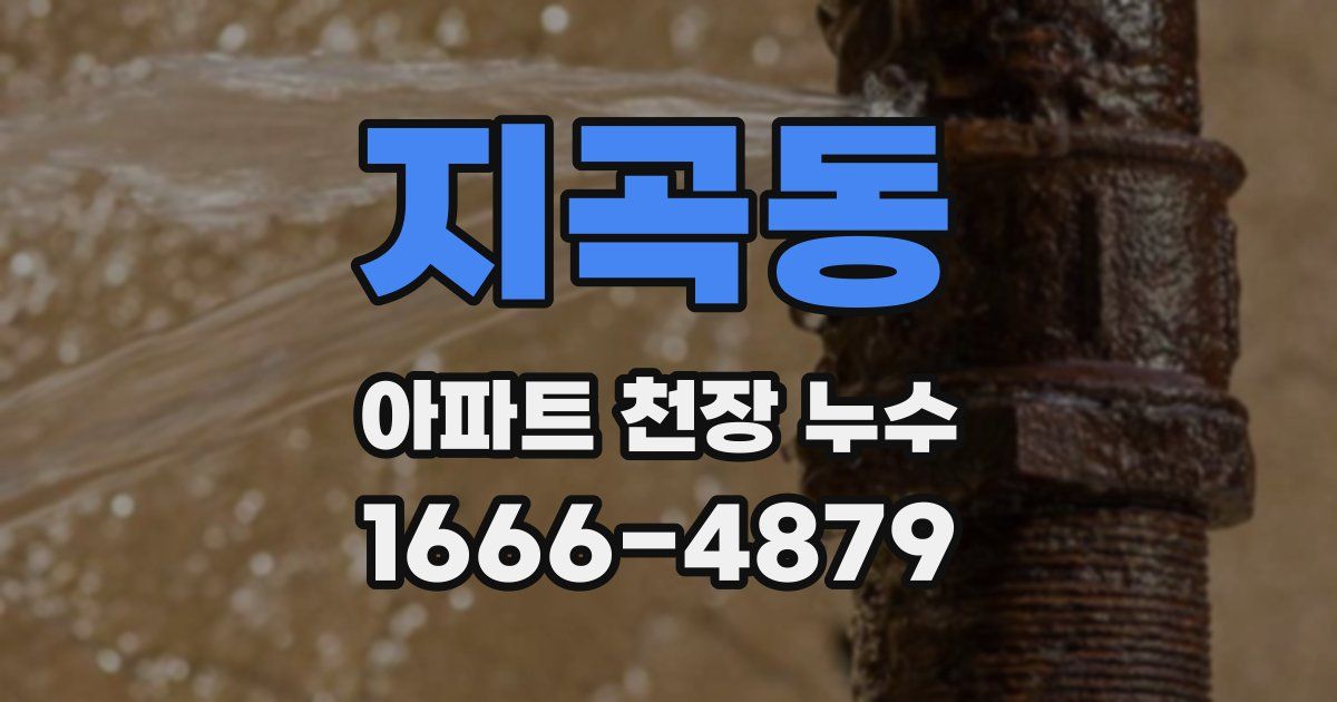 지곡동 아파트 천장 누수