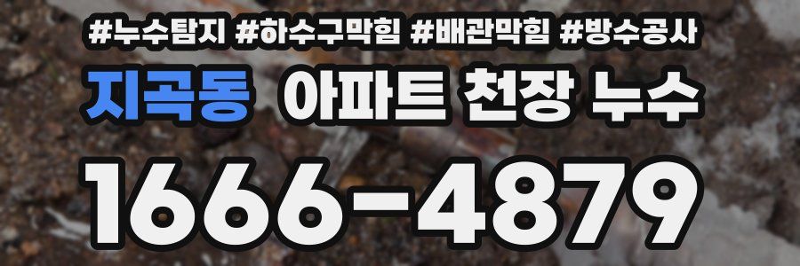 지곡동 아파트 천장 누수