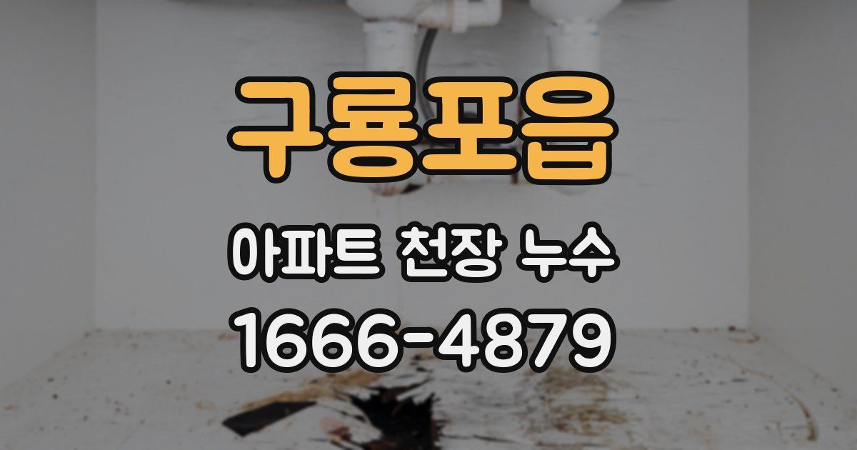 구룡포읍 아파트 천장 누수