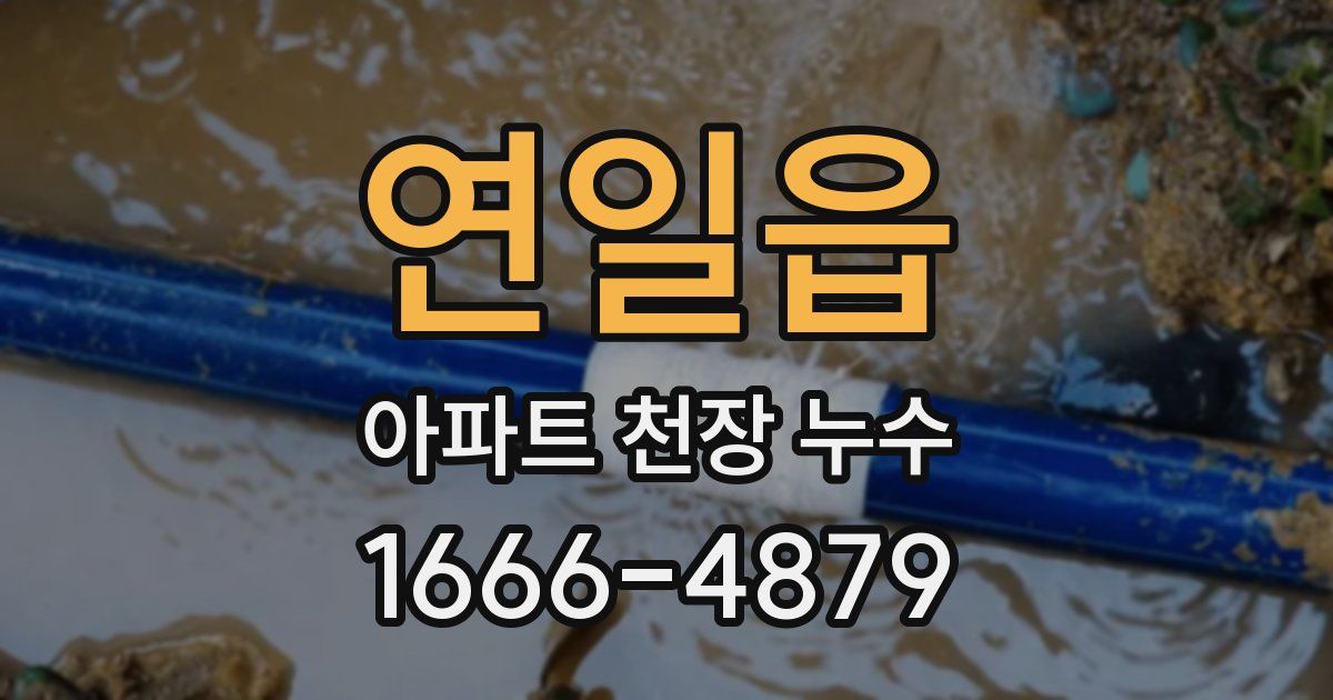 연일읍 아파트 천장 누수