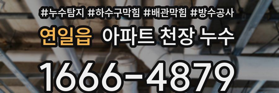 연일읍 아파트 천장 누수