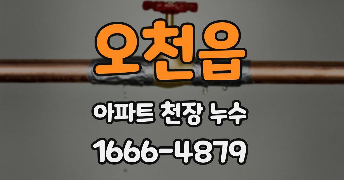 오천읍 아파트 천장 누수