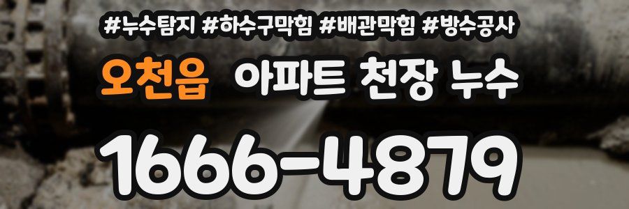오천읍 아파트 천장 누수