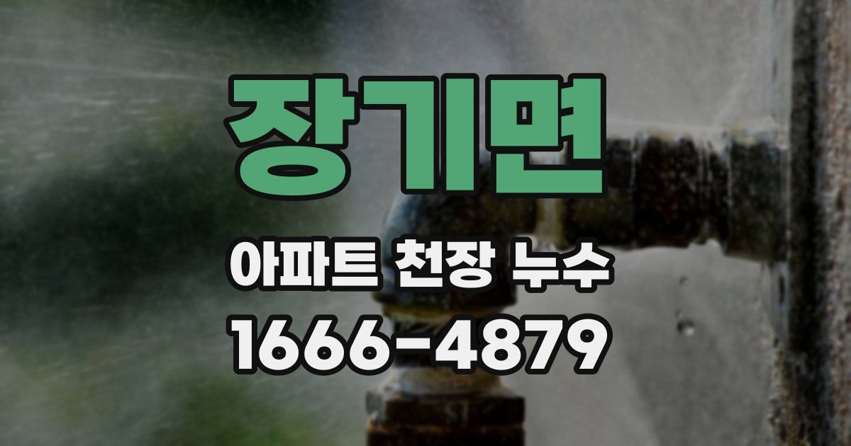 장기면 아파트 천장 누수
