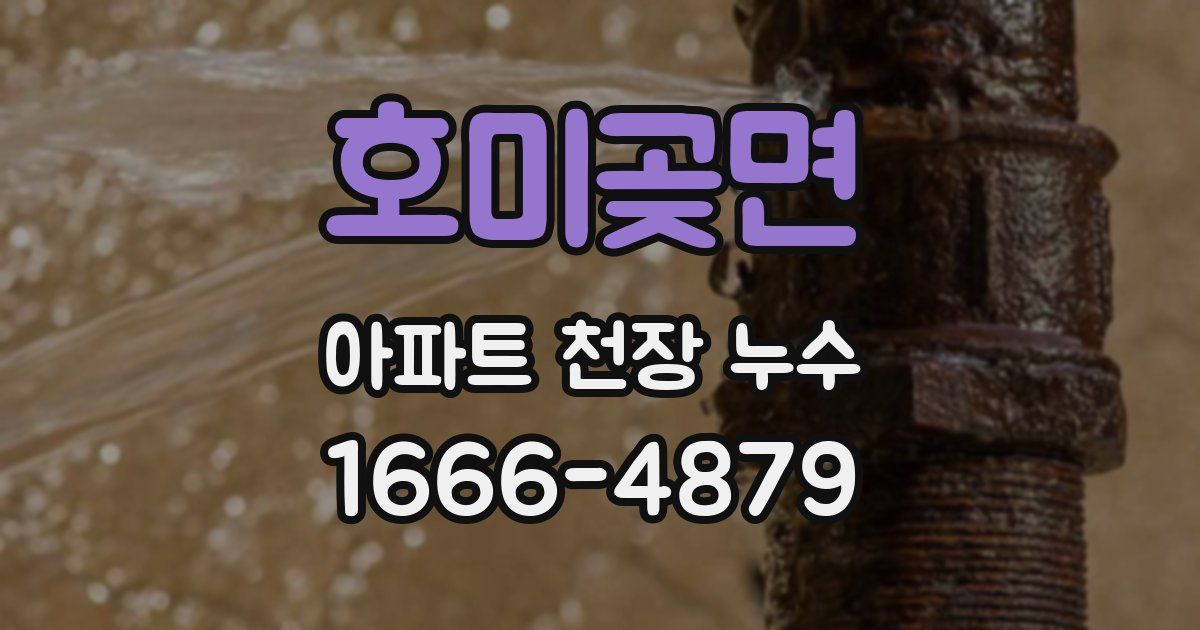 호미곶면 아파트 천장 누수