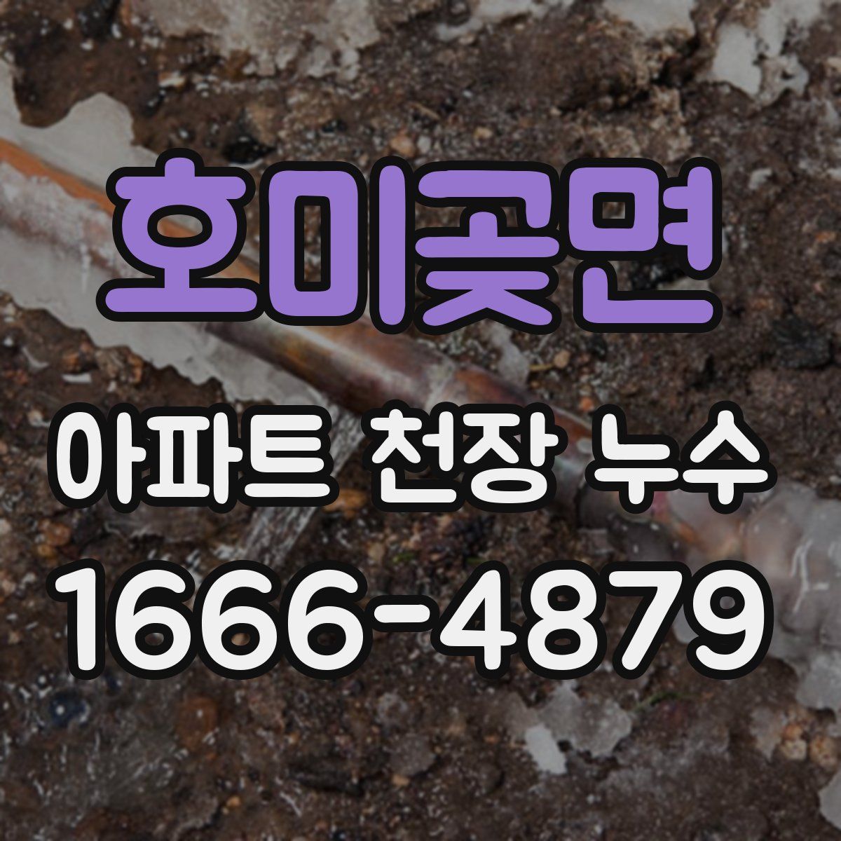 호미곶면 아파트 천장 누수