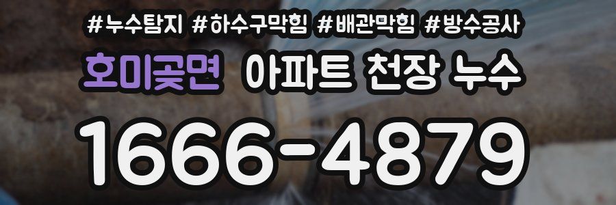 호미곶면 아파트 천장 누수