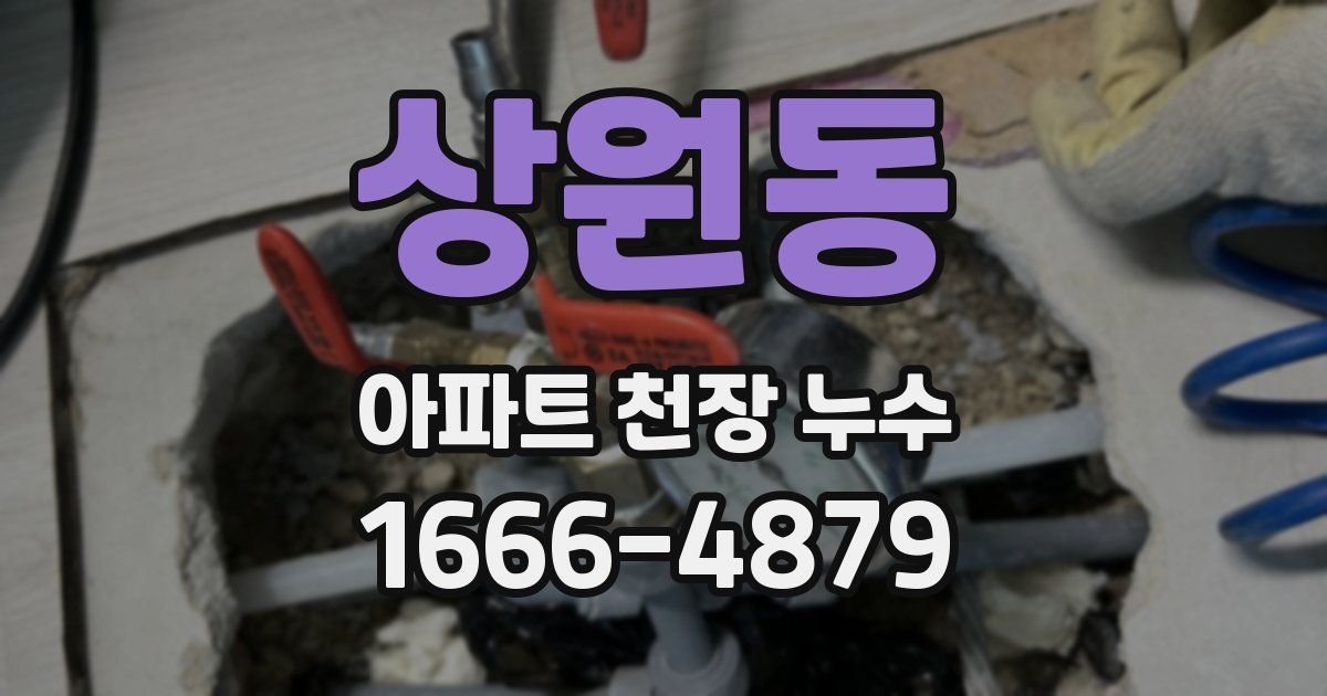 상원동 아파트 천장 누수