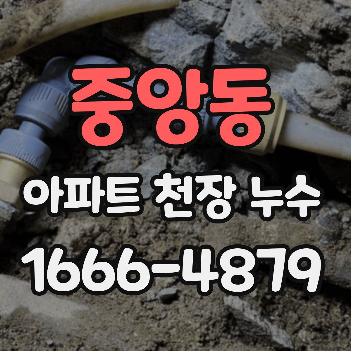 중앙동 아파트 천장 누수