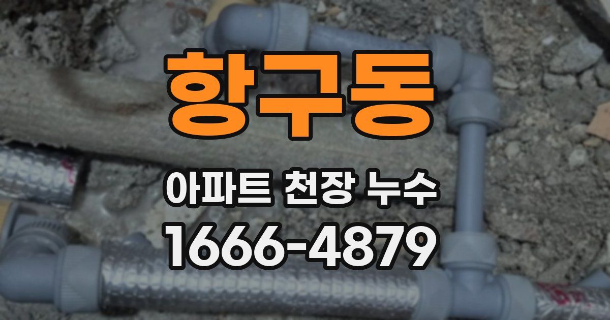 항구동 아파트 천장 누수