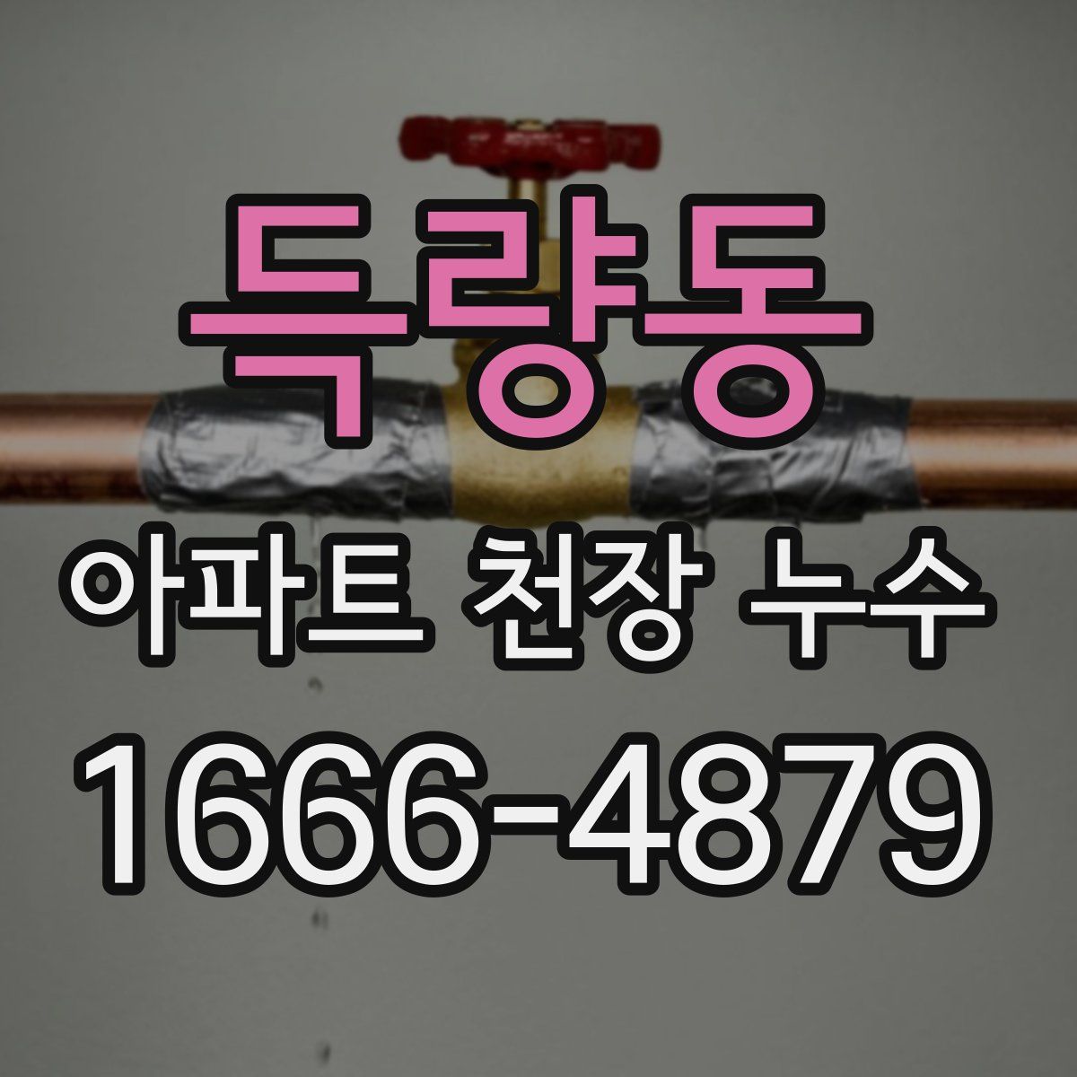 득량동 아파트 천장 누수