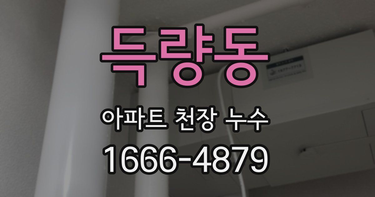 득량동 아파트 천장 누수