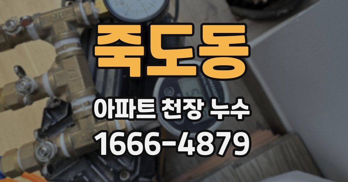 죽도동 아파트 천장 누수