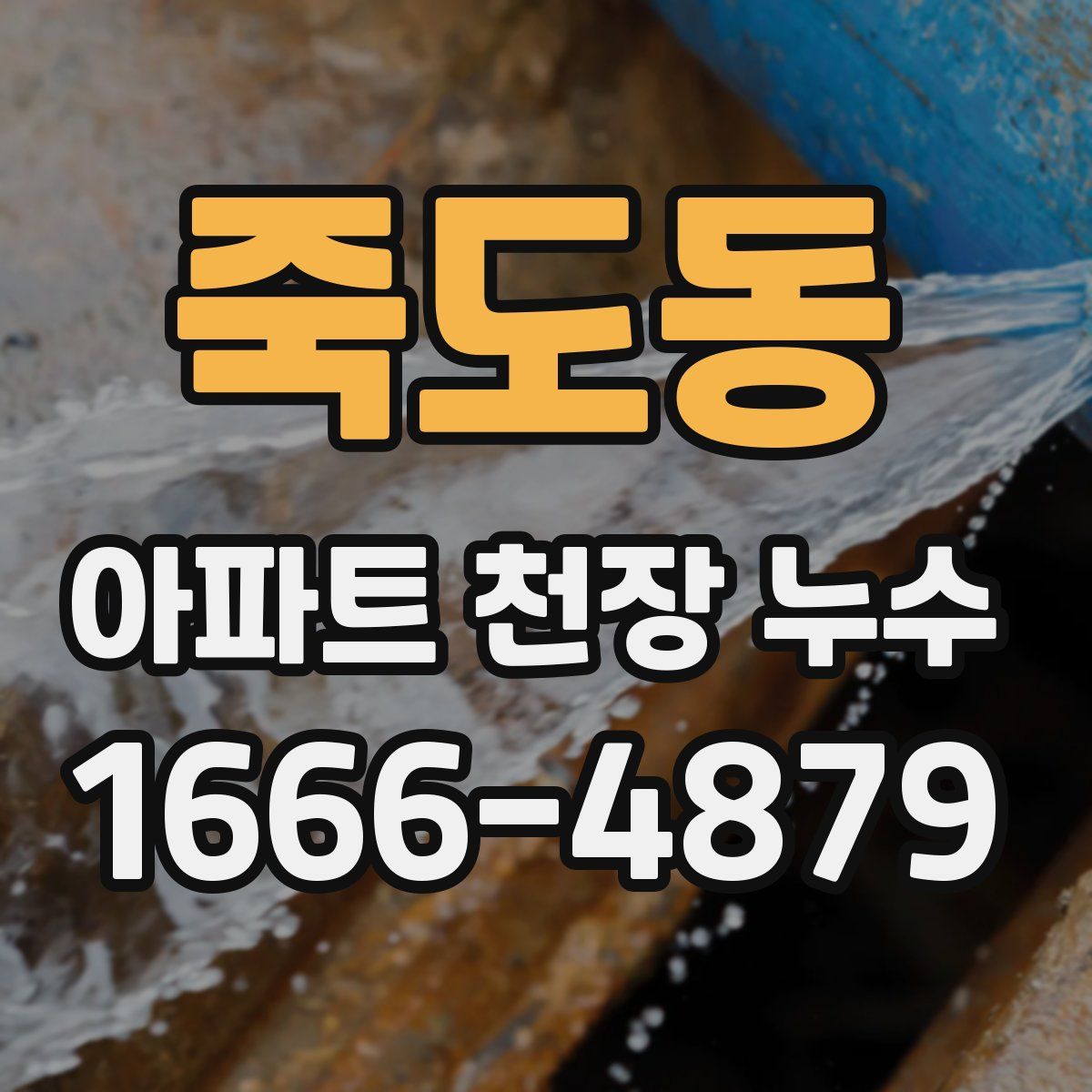 죽도동 아파트 천장 누수