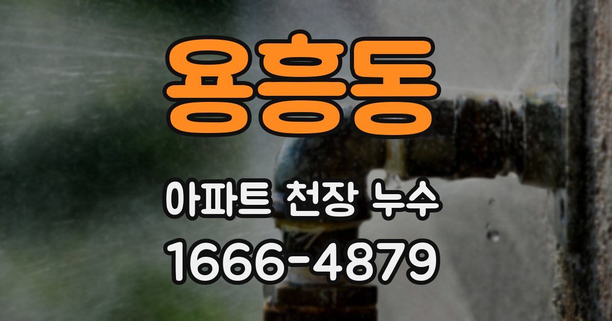 용흥동 아파트 천장 누수