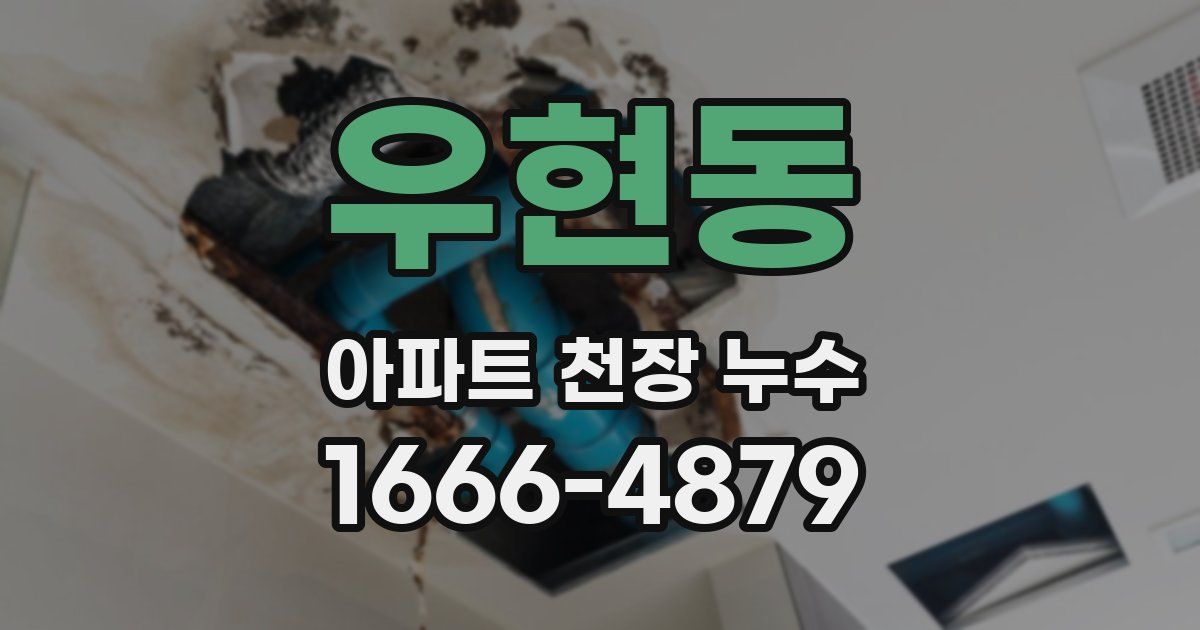우현동 아파트 천장 누수