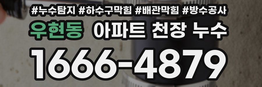 우현동 아파트 천장 누수