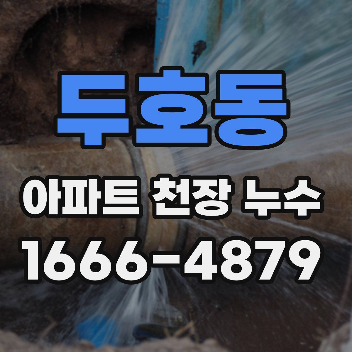 두호동 아파트 천장 누수
