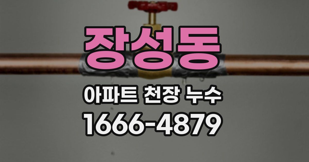 장성동 아파트 천장 누수