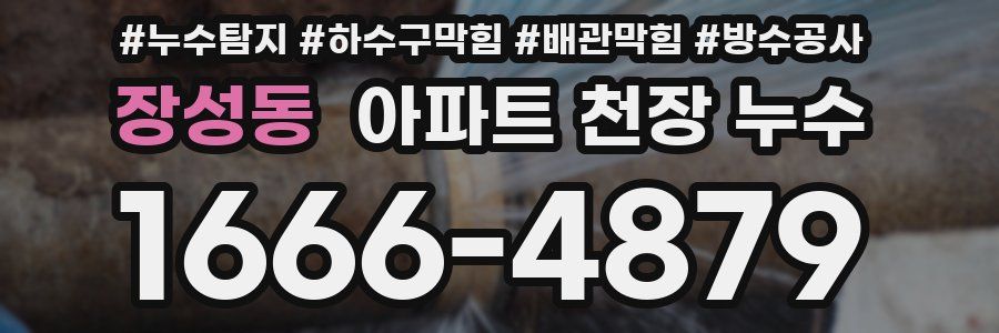 장성동 아파트 천장 누수