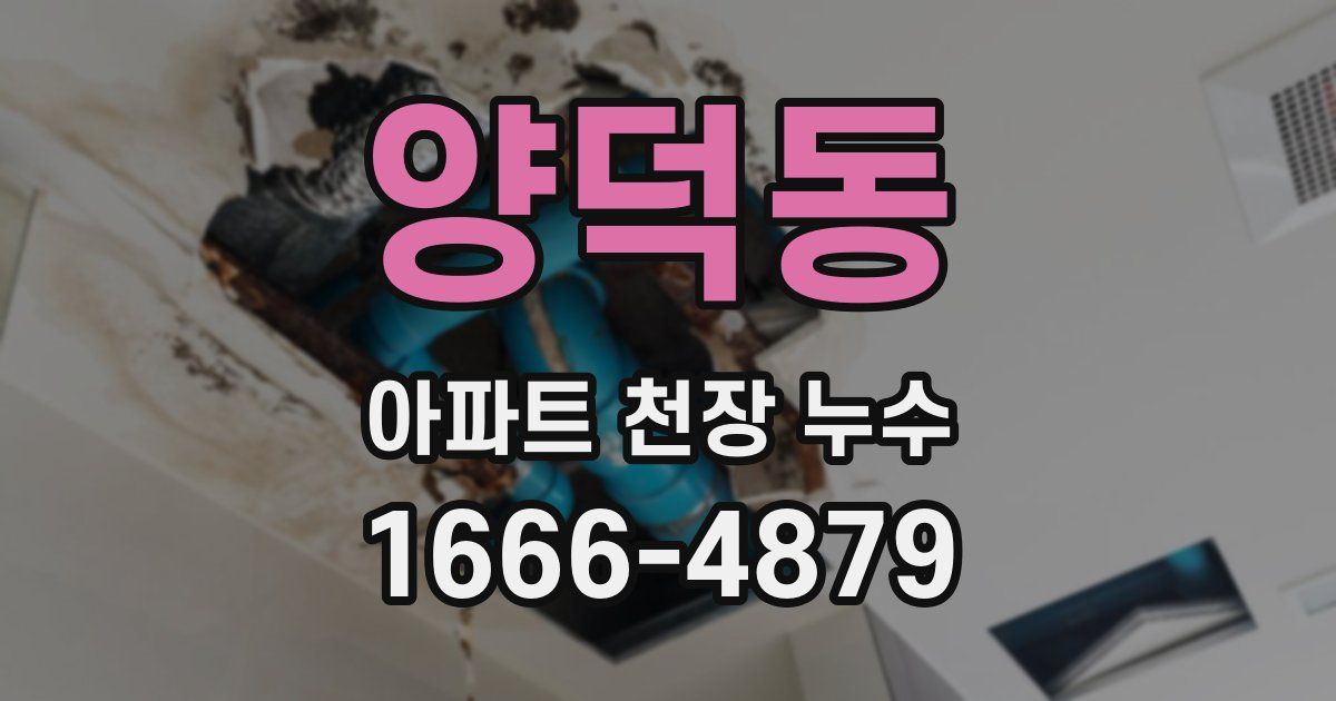 양덕동 아파트 천장 누수