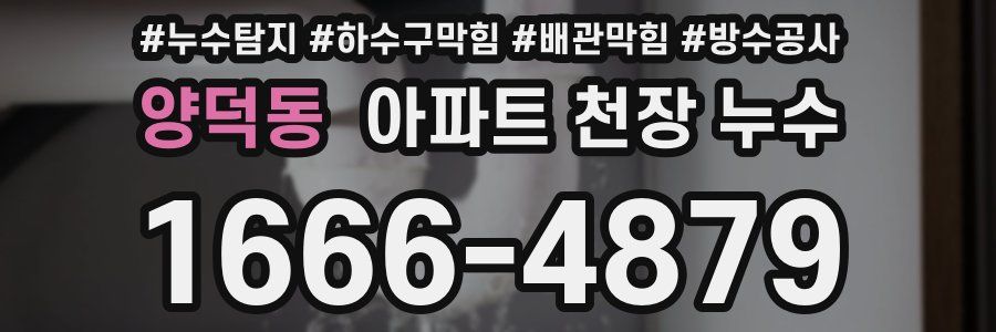 양덕동 아파트 천장 누수