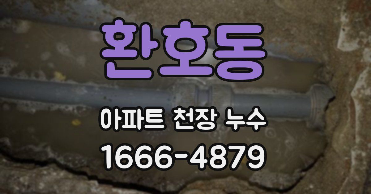 환호동 아파트 천장 누수