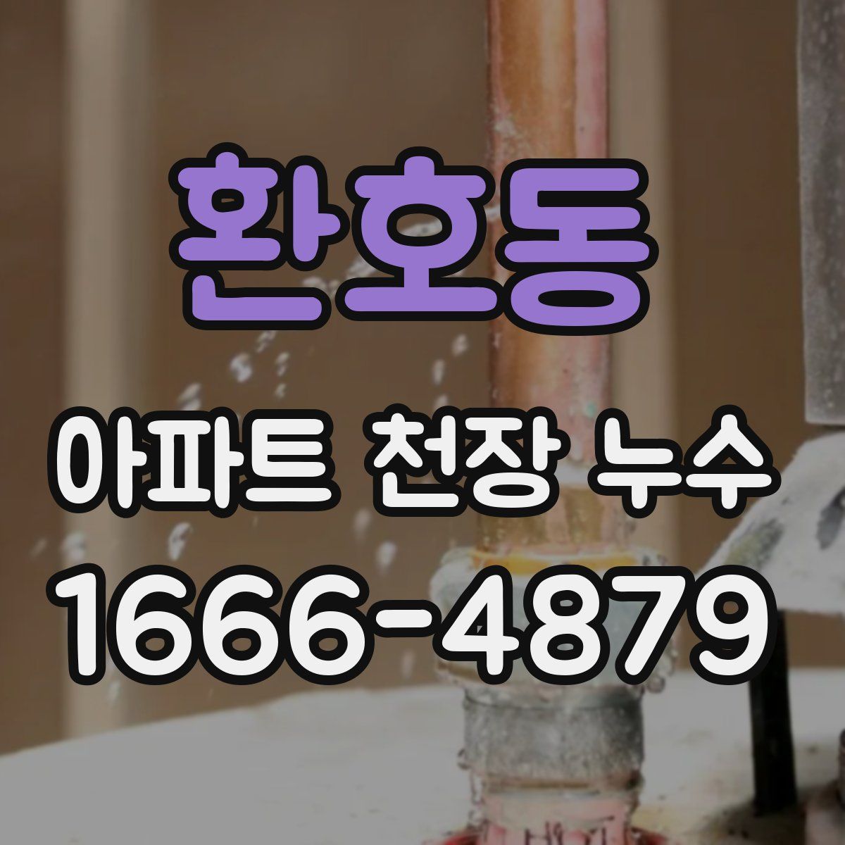 환호동 아파트 천장 누수