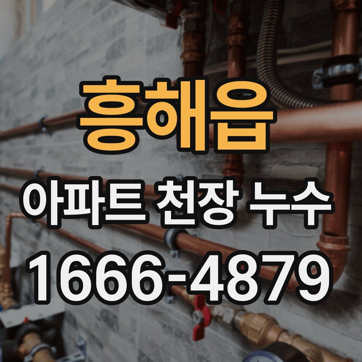 흥해읍 아파트 천장 누수