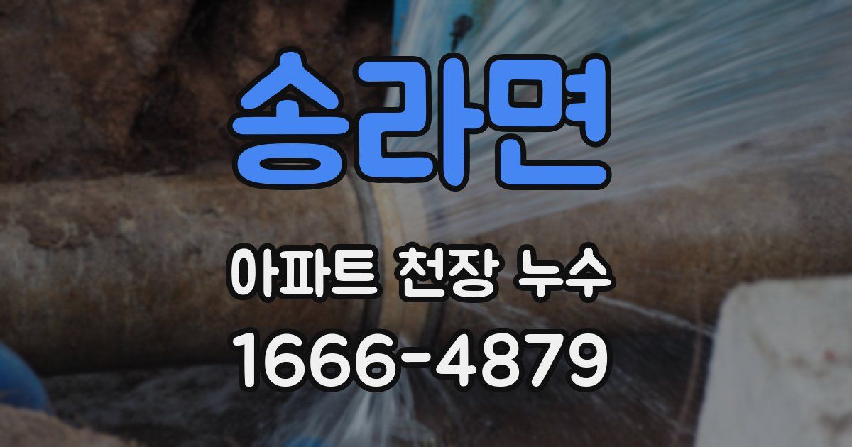 송라면 아파트 천장 누수