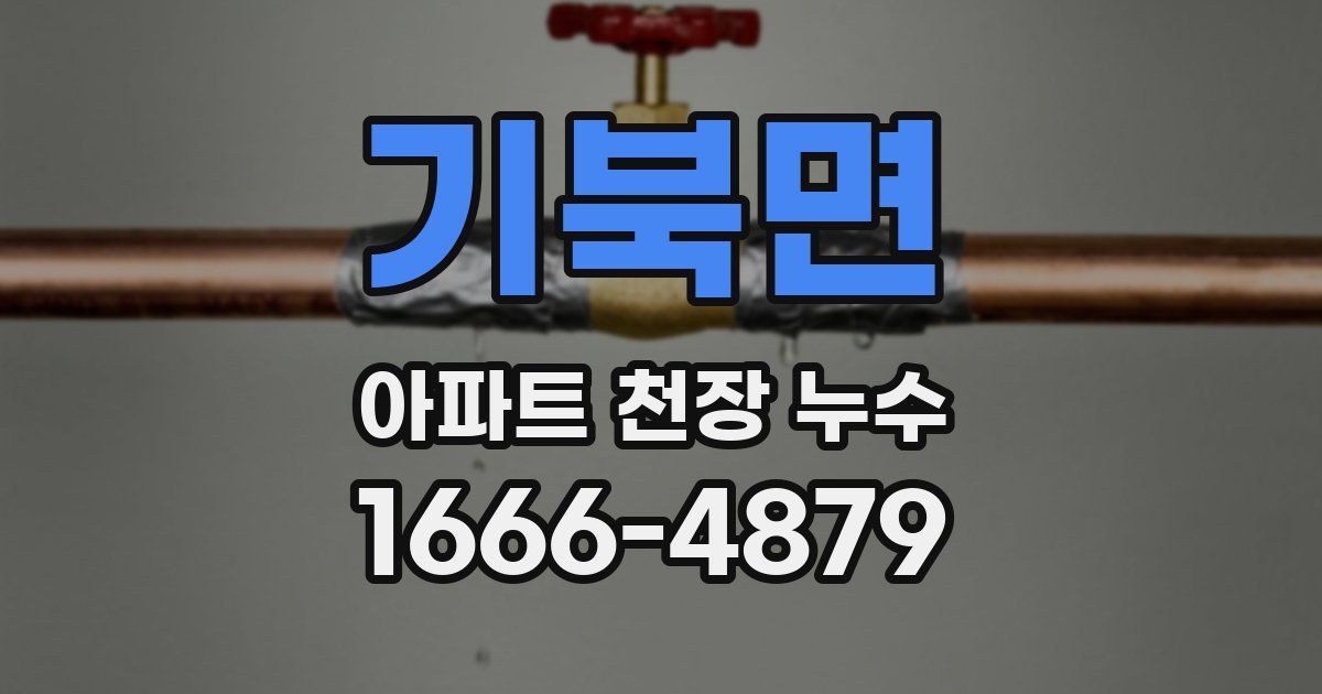 기북면 아파트 천장 누수