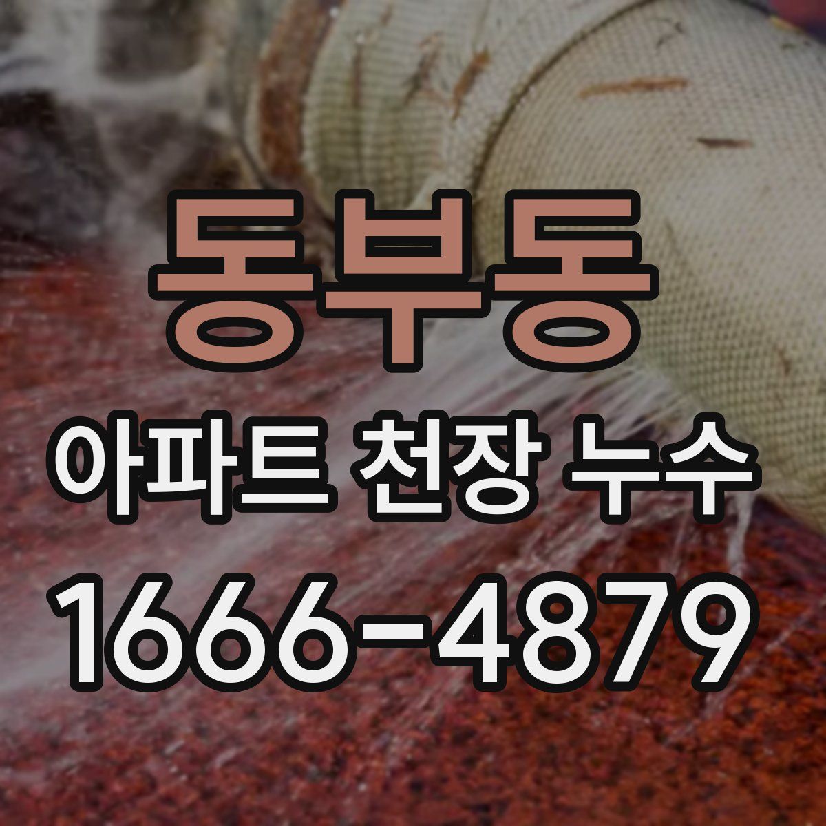 동부동 아파트 천장 누수