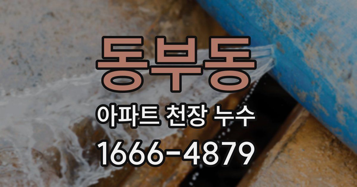 동부동 아파트 천장 누수
