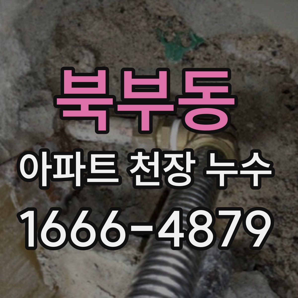 북부동 아파트 천장 누수