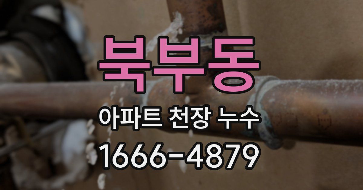 북부동 아파트 천장 누수