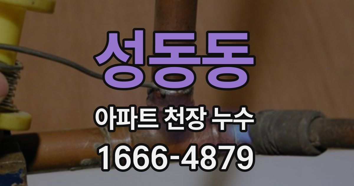 성동동 아파트 천장 누수