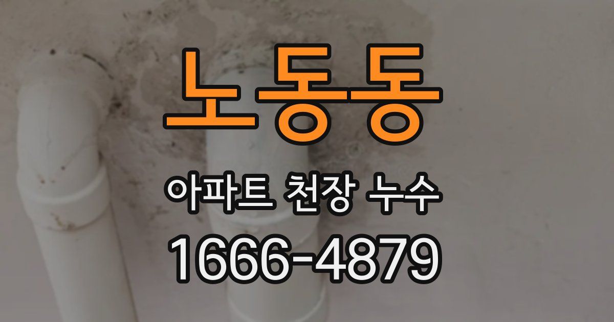 노동동 아파트 천장 누수