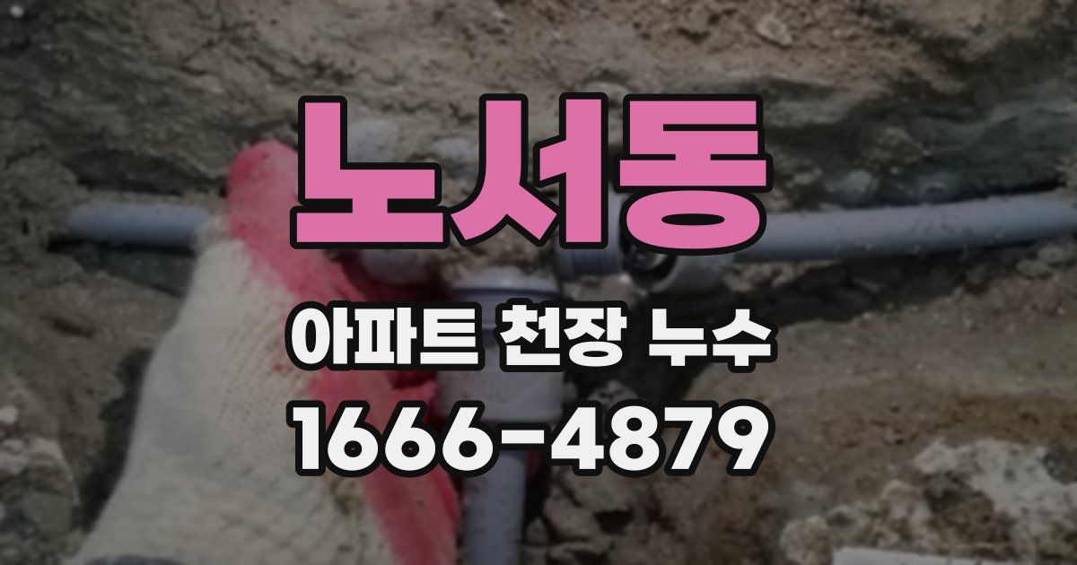 노서동 아파트 천장 누수