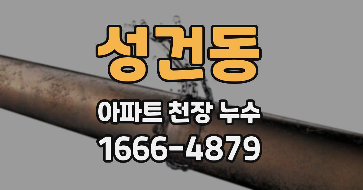 성건동 아파트 천장 누수