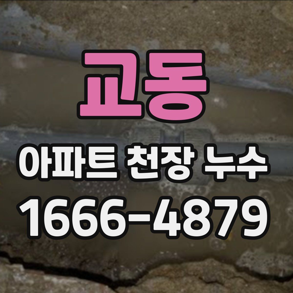 교동 아파트 천장 누수