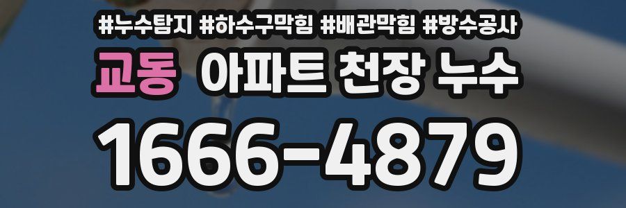 교동 아파트 천장 누수